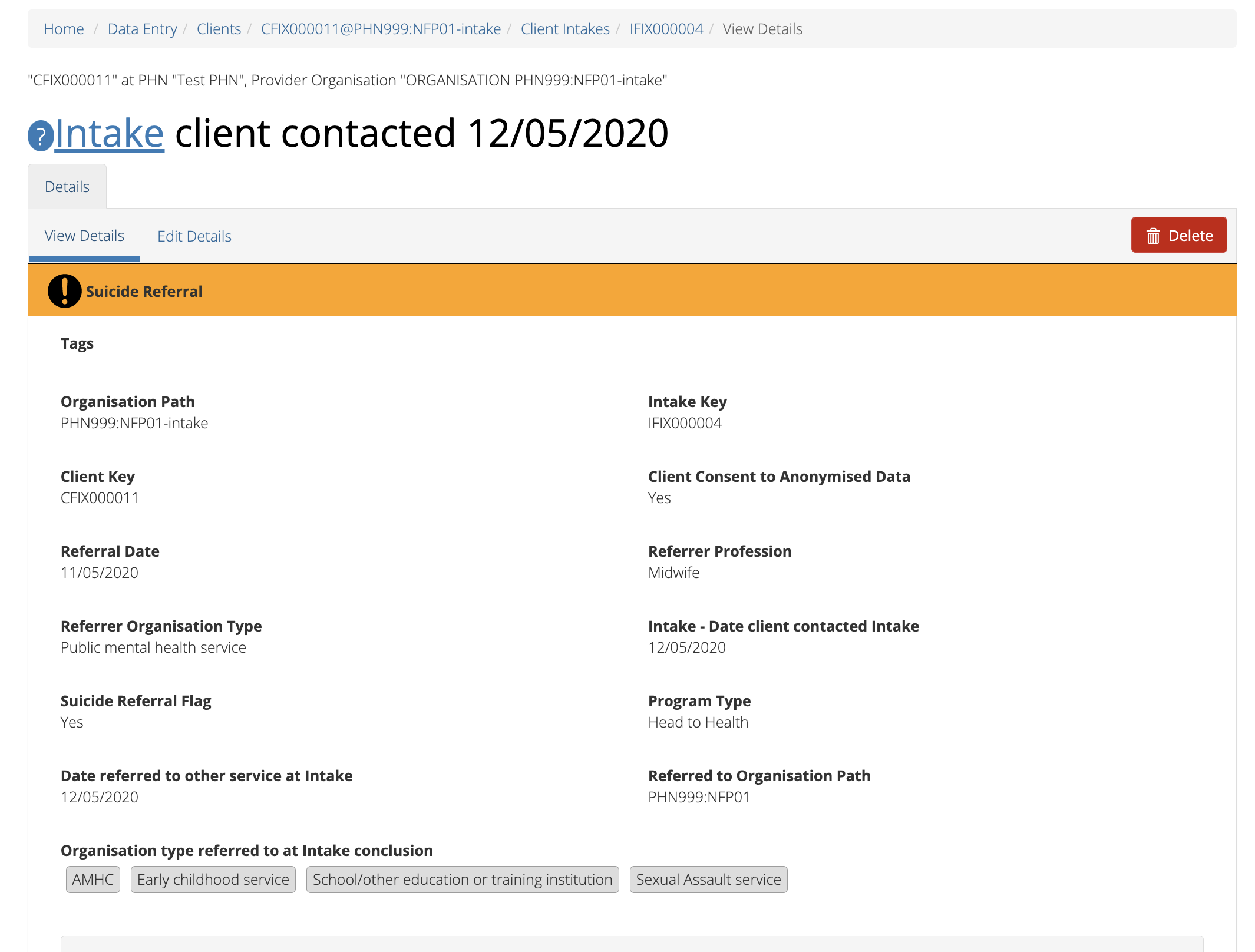 Client Intakes Details View